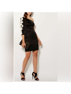 Karen Millen Dress